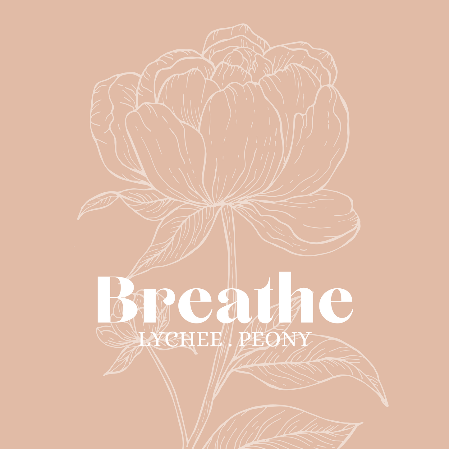 BREATHE (lychee & peony) Scented Diffuser - ready stock