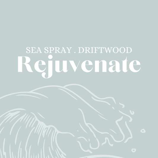 REJUVENATE (sea spray & driftwood) Scented Diffuser - ready stock