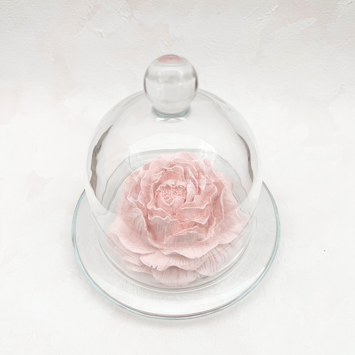 [COLLAB with Slowlivecreate] Gift Set