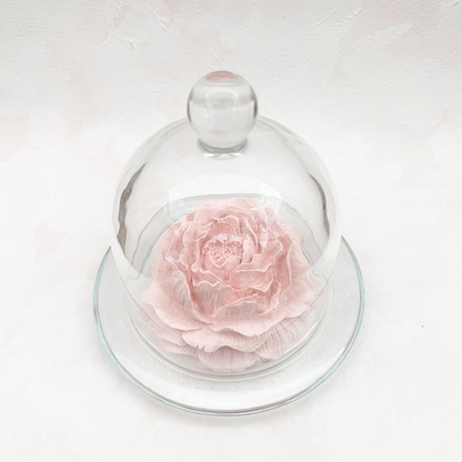 [COLLAB with Slowlivecreate] Gift Set
